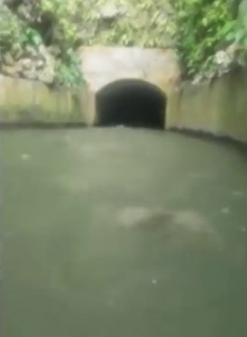  The group spotted a figure moving at speed behind the boat when they watched the footage back