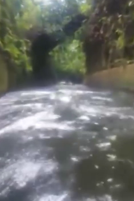  The initial part of the video shows the boat speeding through a tunnel on the Isabela River
